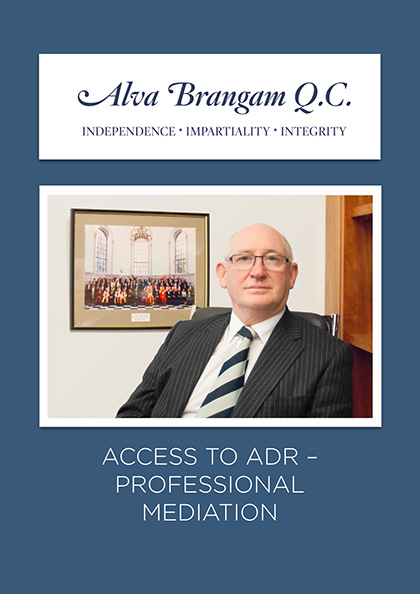 Professional services brochure